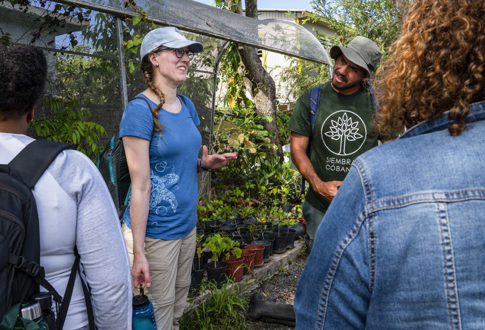 A community member shares details about the plants in Puerto Rico