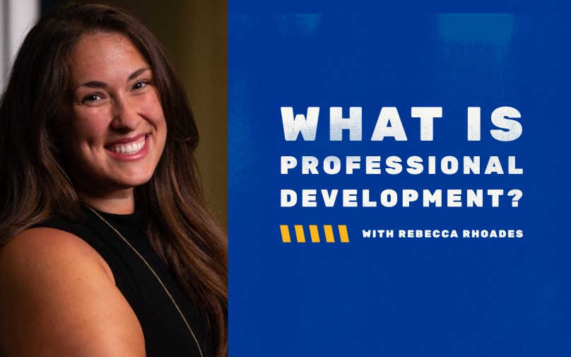 What is professional development?